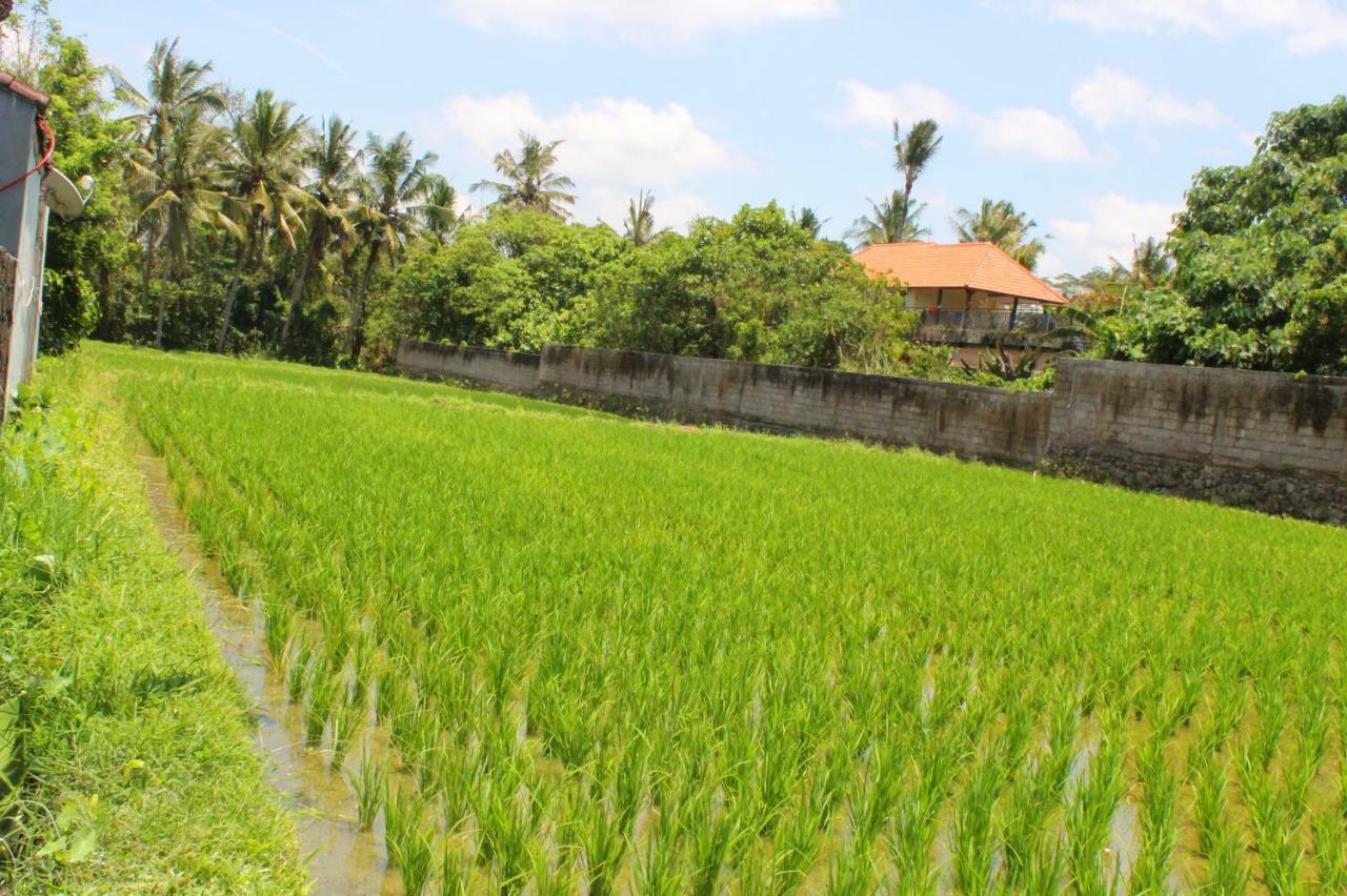 White Creative Villa Campuhan Ubud Exteriör bild